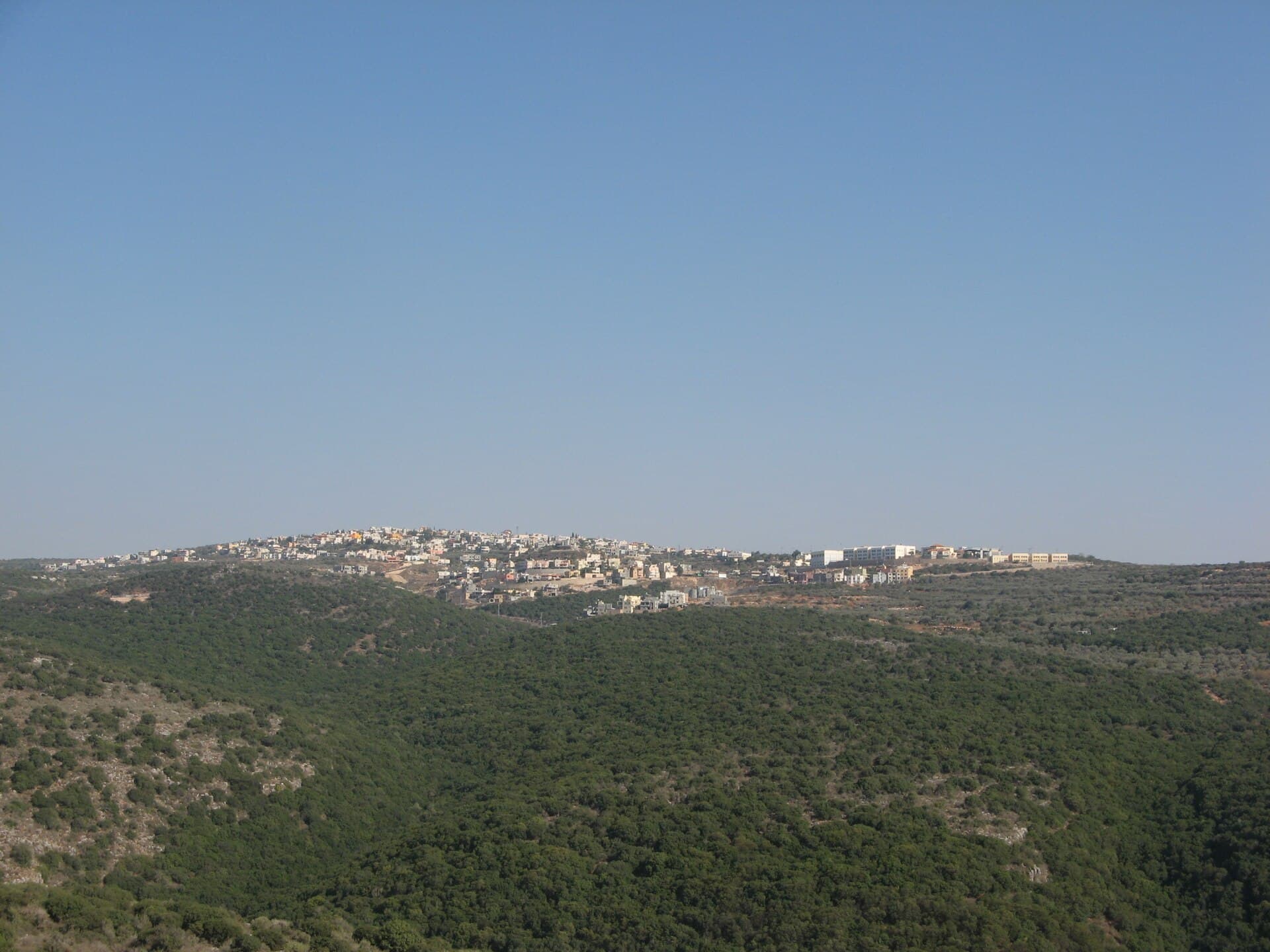 תמונה מיאנוח